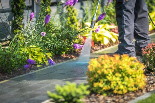 Best Parking Lot and Garage Cleaning  in Ocean Shores, WA